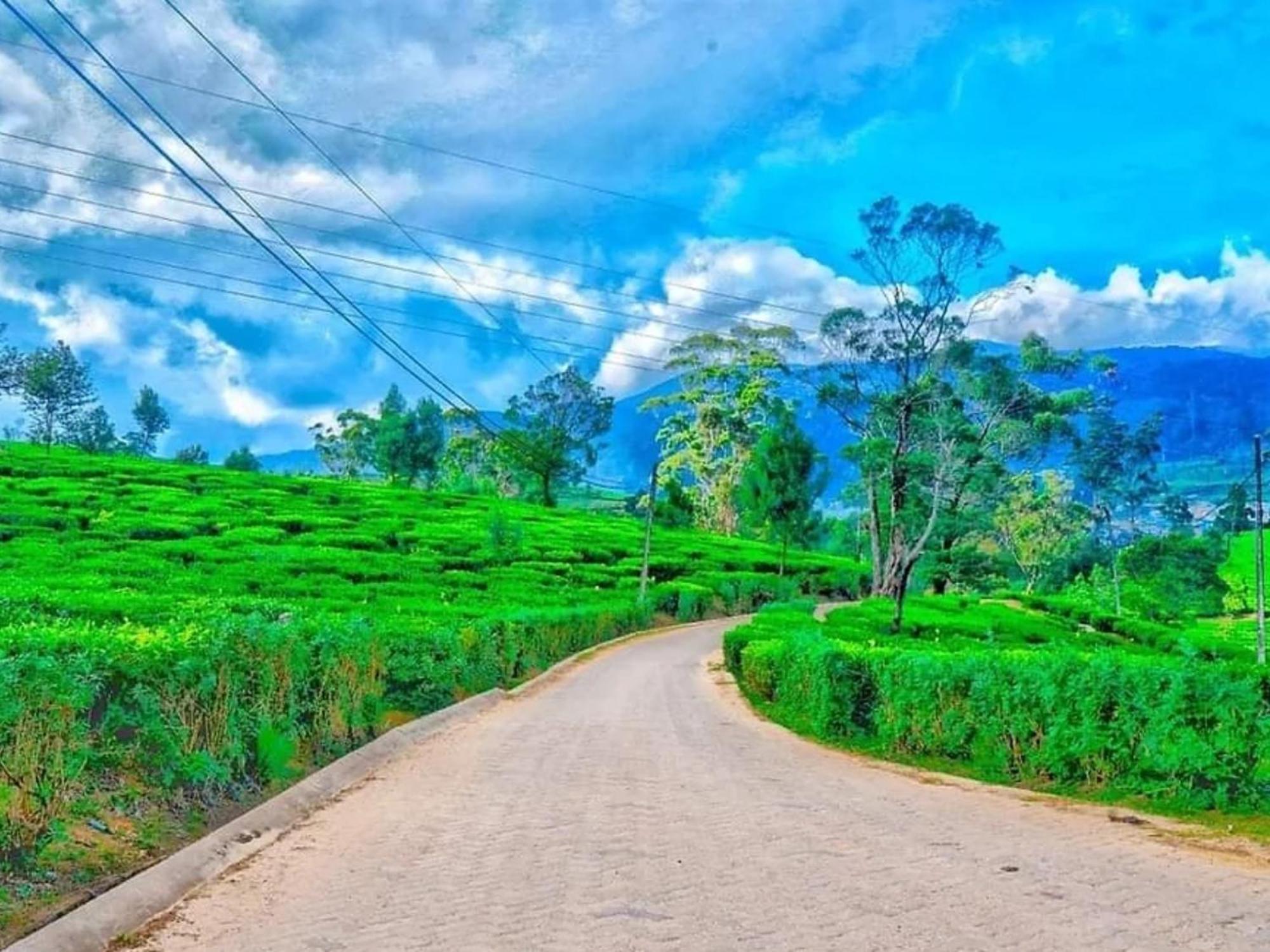 Stoney Croft Cottage Nuwara Eliya Bagian luar foto